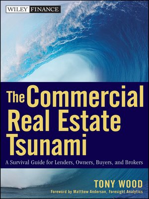 cover image of The Commercial Real Estate Tsunami